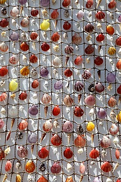 Net with shells, shell curtain, souvenir, Mykonos, Greece, Europe