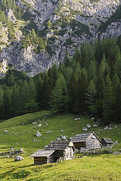 Huts on the alpine pastures of the Pokljuka Plateau, Triglav National Park, Slovenia, Europe