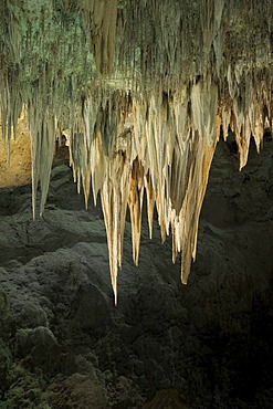 Chandelier, stalactite formation, Carlsbad Caverns National Park, New Mexico, USA