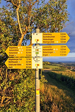 Signpost for hikers along a hiking route, Black Forest?Lake Constance, Konstanz district, Baden-Wuerttemberg, Germany, Europe