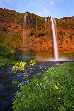 Seljalandsfoss waterfall, southern Iceland, Europe