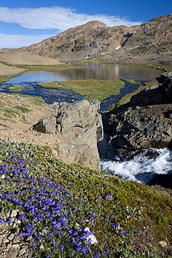 Landscape near Tasiilaq or Ammassalik, East Greenland, Greenland