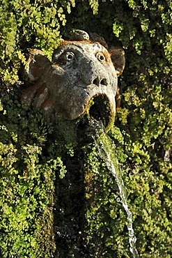 Gargoyle, Viale delle Cento Fontane or Alley of the Hundred Fountains, Garden of the Villa d'Este, UNESCO World Heritage Site, Tivoli, Lazio, Italy, Europe