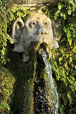 Gargoyle, Viale delle Cento Fontane or Alley of the Hundred Fountains, Garden of the Villa d'Este, UNESCO World Heritage Site, Tivoli, Lazio, Italy, Europe