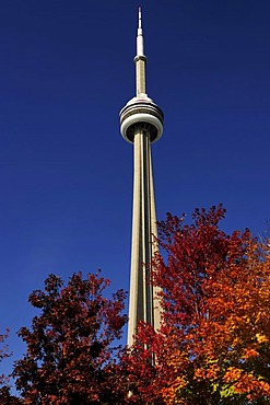 CN Tower, the landmark of Toronto, Ontario, Canada, North America