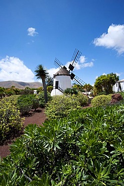 Molino de Antigua, windmill in the open-air museum of Antigua, Fuerteventura, Gran Canaria, Canary Islands, Spain, Europe