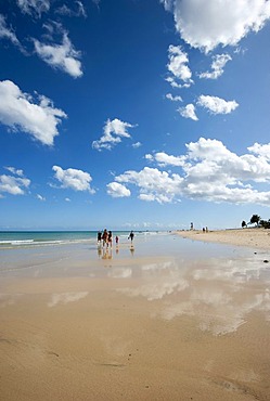 Playa Barca beach, south of Costa Calma, Fuerteventura, Canary Islands, Spain, Europe