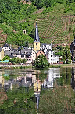 Alf, a municipality in the Landkreis Cochem-Zell district, Moselle Valley, Rhineland-Palatinate, Germany, Europe