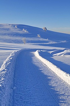 Cross-country ski run on Schauinsland Mountain, Black Forest, Baden-Wuerttemberg, Germany, Europe