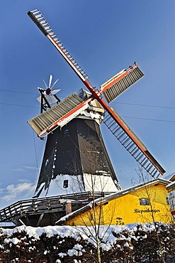 The Riepenburger Muehle mill in Kirchwerder, Vier- und Marschlande area, Hamburg, Germany, Europe