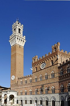 Palazzo Pubblico with the Torre del Mangia, Piazza del Campo, Siena, Tuscany, Italy, Europe