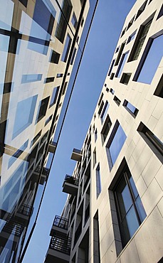 Modern architecture, residential and commercial building, reflections, Rheinauhafen harbour, Cologne, North Rhine-Westphalia, Germany, Europe