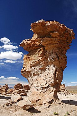Rock formation, Altiplano, Bolivia, South America