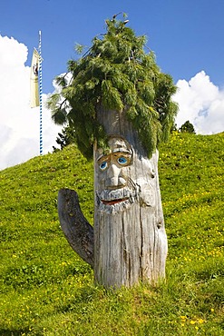 Face carved into a tree trunk