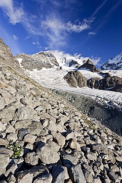 Ascent to Piz Morteratsch Mountain in front of the Bianco Ridge and Piz Bernina Mountain, Bernina Range, Grisons, Switzerland, Europe