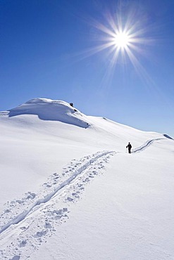 Backcountry skier on the way up to the top of Cima Bocche mountain above Passo Valles mountain pass, Dolomites, province of Trentino, Italy, Europe