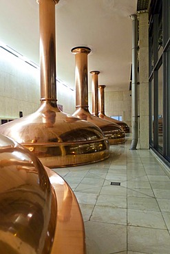 Copper vats, Binding brewery, Frankfurt, Hesse, Germany, Europe