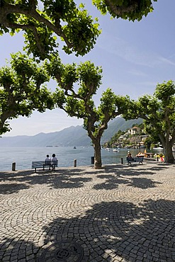 Promenade, Ascona, Lake Maggiore or Lago Maggiore, Ticino, Switzerland, Europe