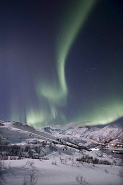 Northern lights, aurora borealis, Austnesfjorden, Island of AustvÂgoya, Lofoten Islands, Northern Norway, Norway, Europe
