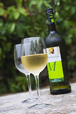 Bottle of white wine and wine glasses under an olive tree, Bol, Brac Island, Dalmatia, Croatia, Europe