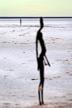 Art Sculptures by Antony Gormley, Inside Australia Exhibition, on Lake Ballard, Western Australia, Australia