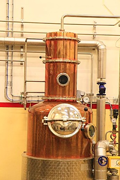 Small distillation unit for trial purposes, Aalborg Akvavit spirits factory, Aalborg, North Jutland, Denmark, Europe