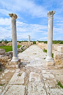 The Roman archaeological site of Salamis, Turkish part of Cyprus