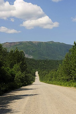 Unpaved road through the Parc national de la Gaspesie national park in the Chic-Choc Mountains, Gaspesie or Gaspe Peninsula, Quebec, Canada