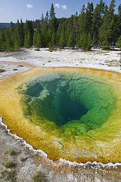 Morning Glory Pool in Upper Geyser Basin, Yellowstone National Park, Wyoming, USA