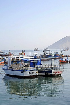 Excursion boats, fishing boats, ships, harbour, lettering, Iquique, Norte Grande region, Northern Chile, Chile, South America