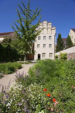 The Melanchthonhaus, home of Philipp Melanchthon in Lutherstadt Wittenberg, Saxony, Germany, Europe