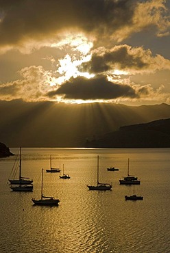 Sun beams over Akaroa Harbour and backlit boats in early morning light, Banks Peninsula, Canterbury region, South Island, New Zealand