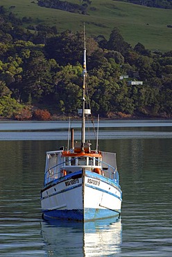 Boat in Akaroa Harbour, Banks Peninsula, Canterbury region, South Island, New Zealand