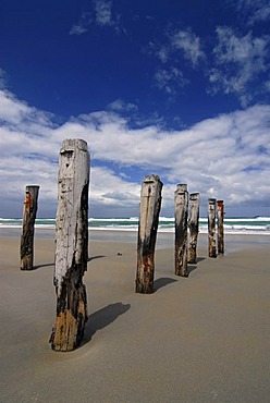 Rotten wood poles leading into the South Pacific Ocean in Saint Kilda Beach, Dunedin, South Island, New Zealand