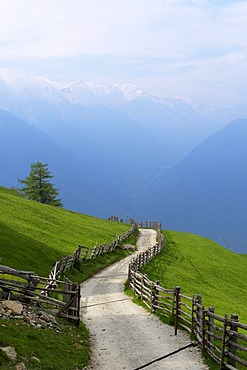 St. Martin im Kofel, Latsch, Vinschgau, Val Venosta, South Tyrol, Italy, Europe