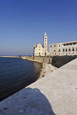 West facade of the cathedrale of San Nicola Pellegrino, Trani, Apulia or Puglia, South Italy, Europe