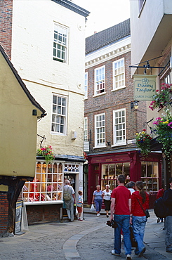 The Shambles, York, Yorkshire, England, United Kingdom, Europe