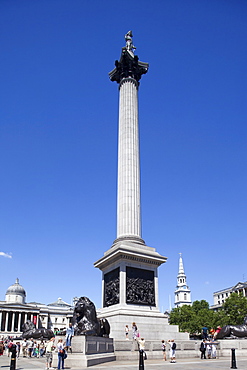 Nelsons Column, Trafalgar Square, London, England, United Kingdom, Europe