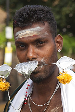 Chariot Festival participant, Shri Kanaga Thurkkai Amman Temple, Ealing, London, England, United Kingdom, Europe