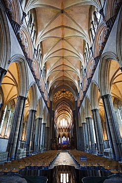 The nave roof, Salisbury Cathedral, Salisbury, Wiltshire, England, United Kingdom, Europe