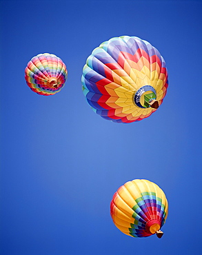 Colourful Hot Air Balloons in sky, Albuquerque, New Mexico, United States of America, North America