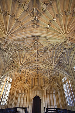 The Divinity School, Bodleian Library, Oxford, Oxfordshire, England, United Kingdom, Europe