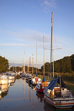 Norfolk Broads at Horsey, Norfolk, East Anglia, England, United Kingdom, Europe