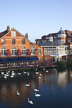 River Thames and riverfront, Eton, Berkshire, England, United Kingdom, Europe