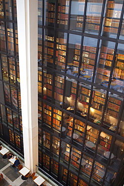 Interior, British Library, London, England, United Kingdom, Europe