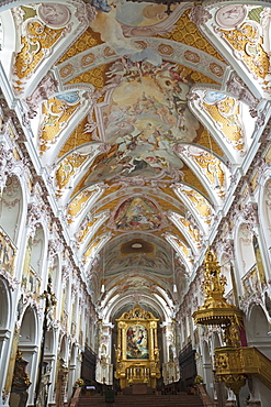 Freising Cathedral, Freising, Bavaria, Germany, Europe