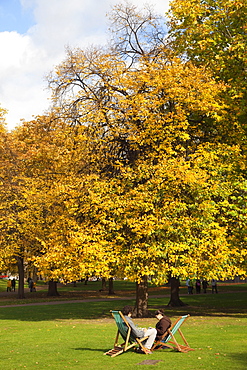 Autumn leaves and deck chairs, St. James's Park, London, England, United Kingdom, Europe