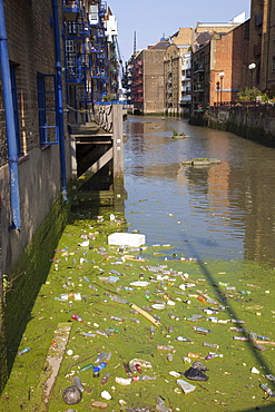 Pollution in the River Thames, London, England, United Kingdom, Europe