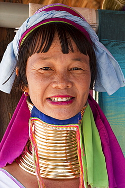 Long neck woman of the Long Neck Karen hilltribe from the Golden Triangle, Chiang Mai, Thailand, Southeast Asia, Asia