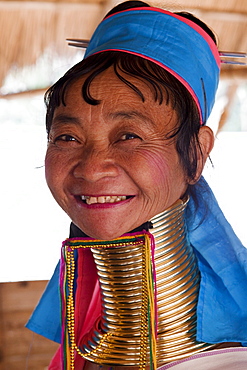 Long neck woman of the Long Neck Karen hilltribe from the Golden Triangle, Chiang Mai, Thailand, Southeast Asia, Asia